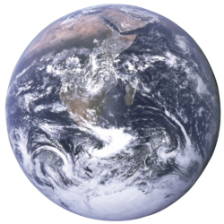Image2