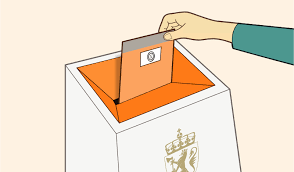 Vet folk hva de kan stemme og hvorfor?